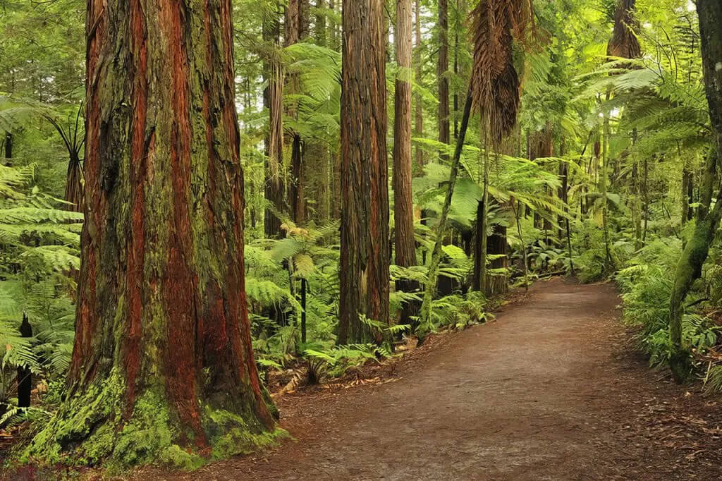Rotorua