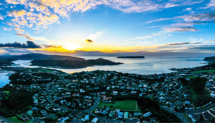 Hutt Valley and Porirua City Property Update - August 2019